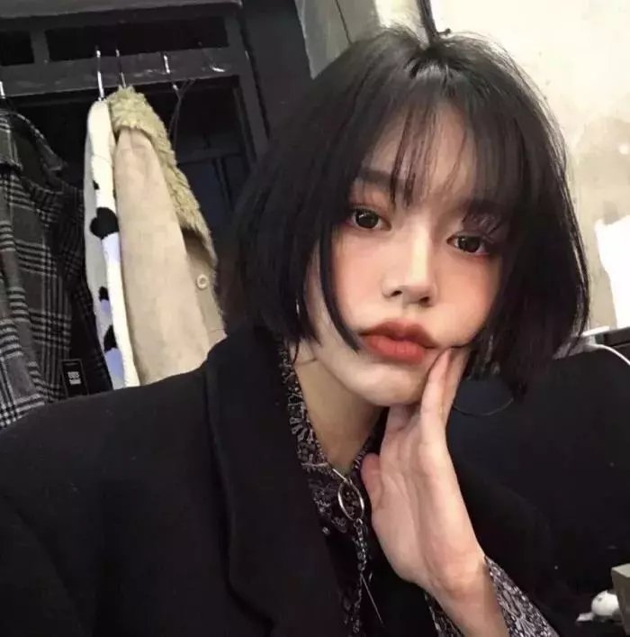 与鹦鹉同住